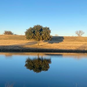 Meet your Posher, Miguel